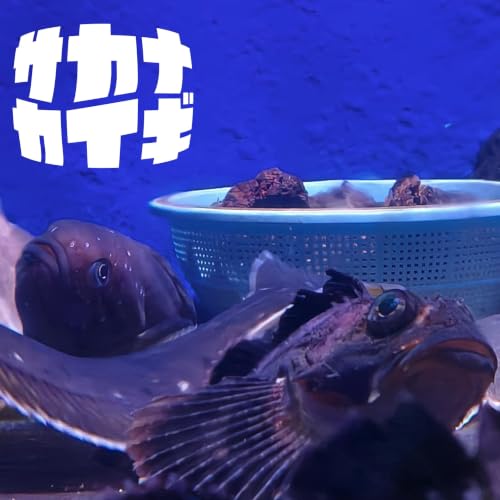 オフシーズン🐟アングラーと漁師は「オフ」をどう過ごす？