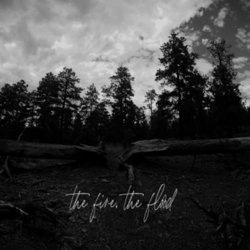 Play the fire, the flood by Austin Kiser on Amazon Music