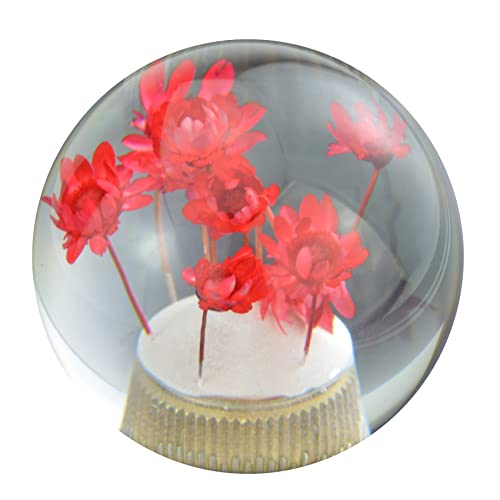 Abfer Flower Shifter Knob Round Car Gear Stick Head Unique Shift Handle Ball Fit Most Automatic Manual Vehicles Trucks (Red)