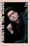 Scorpio Posters Panic! at The Disco Pink Border Laminated Poster Featuring Brendon Urie...