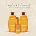 Aveeno Apple Cider Vinegar Shampoo + Conditioner Set, Hair Care Bundle for Balance & High Shine, Daily Clarifying & Soothing Scalp Shampoo & Conditioner for Oily & Dull Hair, Two Pack, 2 x 12 fl. oz