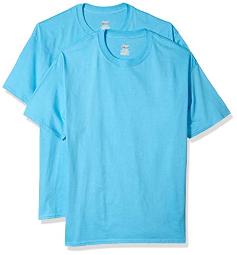 Hanes Men's 2 Pack Short Sleeve Beefy-T, Deep Red