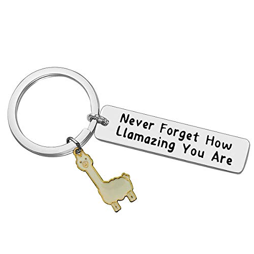 Baipilu Llama Keychain Llama Gift Keychain for Women Alpaca Gifts Animal Lover Gift Inspiring Inspired Motivational Keychains for Women birthday gift for friends