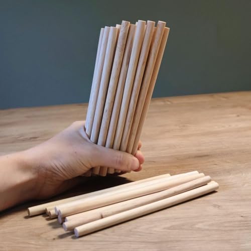 Image of BLOOMAX 20mm Thick Wooden Dowel Rods | 12 Inch (1 Foot) Length | Pack of 8 | Premium Sanded Hardwood Round Sticks for Crafts, DIY, Furniture & Woodworking (±0.50mm Tolerance)