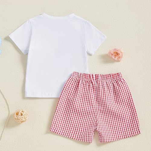 Toddler Baby Boy Birthday Outfit Short Sleeve Party Animal Shirt Shorts Infant Summer Clothes4