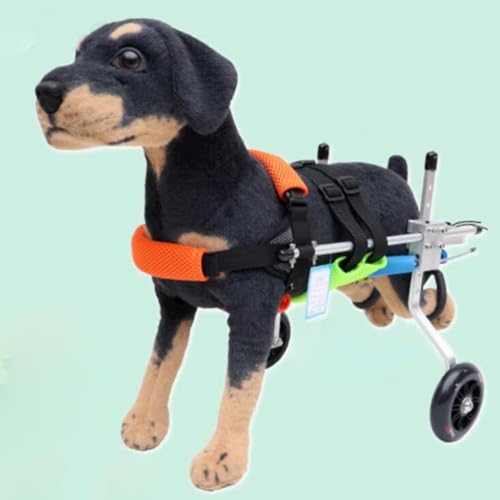 Chariot de soutien pour chien blessé idéal pour les promenades