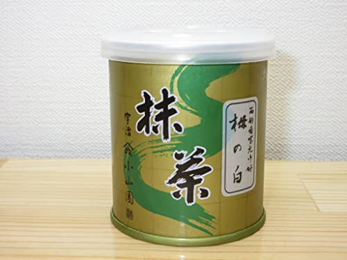 y RRẑ̔ 30g  \ƕsRE֏@D pEp