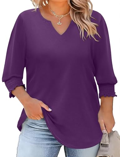 Rapbin Womens Plus Size Tops 3/4 Sleeve Blouses Shirts Casual V Neck Loose Tunic Tops 1X-5X