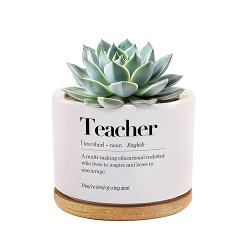Teacher Definition Ceramic Succulent Plant Pot with Bamboo Tray Round