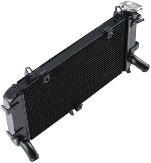 プジョー/シトロエン エンジンマウント 右 1.6L用| 206 | シャンソン