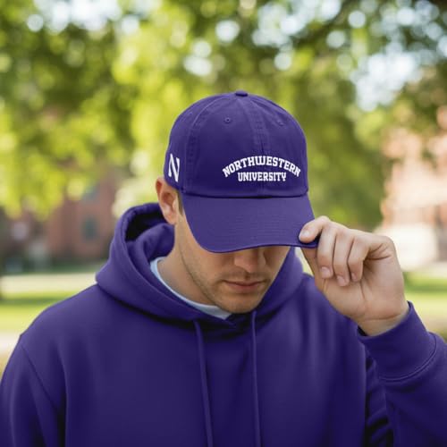 Desert Cactus Northwestern University Gorra Baseball Ajustable miniatura 5