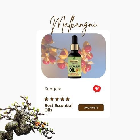 Songara Malkangani Essential Oil - Pure & Natural Best for Aroma Therapy, Hair, Skin & Sleep - Cold Pressed (20ml, pack of 1) Songara Malkangani Essential Oil - Pure & Natural Best for Aroma Therapy, Hair, Skin & Sleep - Cold Pressed (20ml, pack of 1)