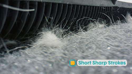 Furemover Xl Heavy Duty And Original Indoor/Outdoor Broom Set, Standard And Extra Large, Black And Yellow (Model: 2385A6-Amz) #TOP2