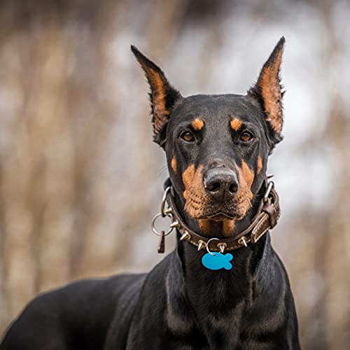 Hacraho Pet Id Tag, 20 Pcs Multi-Color Blank Pet Id Tag Aluminum Double Sided Pet Id Tags With 20 Pcs Key Rings For Dogs Cats, Fish-Shape #TOP7