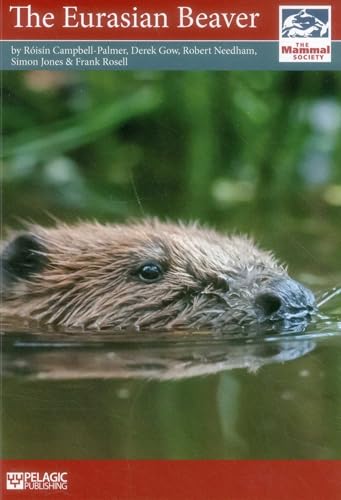 The Eurasian Beaver view 2