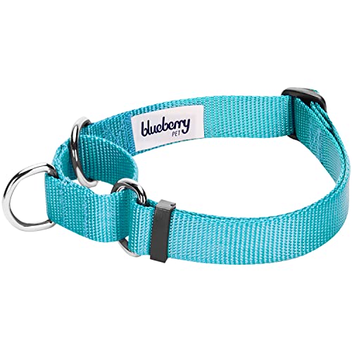 Blueberry Pet Essentials Martingale Safety Training Dog Collar, Turquoise, Medium, Heavy Duty Nylon Adjustable Collars For Dogs #TOP2