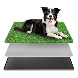 BurgeonNest Dog Grass Pad with Tray 35″x24″, Includes Reusable Artificial Turf for Dog Litter Box, Ultra-Absorbent Washable Pee Pad & EVA Material Tray for Balcony, Apartment & Indoor/Outdoor Use