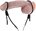Zeus Electrosex Vigor II Cock and Ball Ties and Frenum Electro Stimulator Anillo - 56 gr