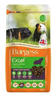 Burgess Excel Guinea Pig Nuggets with Mint 2kg