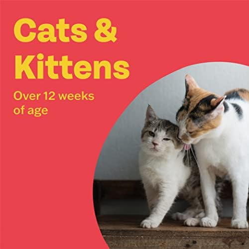 Bob Martin Clear | Cat Wormer Tablets, Suitable for Kittens | Clinically Proven Effective Treatment (2 Tablets)