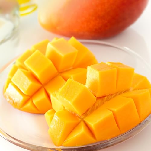 [ふじ農園][訳あり]おいしさそのまま!ふじ農園の完熟マンゴー2kg