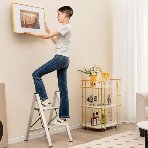 FANTASK Trittleiter 2 Stufen Stehleiter, Aluminium Klappleiter bis 150 kg, Klapptritt Klappbar & rutschfest, Leiter Tritthocker Haushaltsleiter, für Zuhause Büro Garage, Silber, 44x49x66 cm