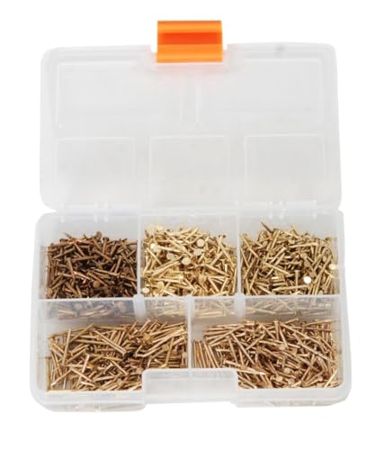 Netzerkoz - Set di 500 chiodi in legno, 5 tipi di chiodi nichelati per lavori di artigianato fini, il set è composto da piccole unghie sottili per scopi decorativi, assortimento di unghie con scatola
