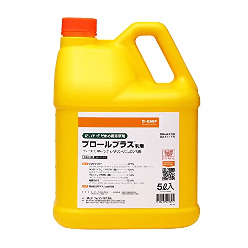 BASF�W���p��(Basf Japan) ������ �v���[���v���X���� 5L 37324
