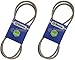 2 Pack Stens 265-748 OEM Replacement Belt Scag 48204