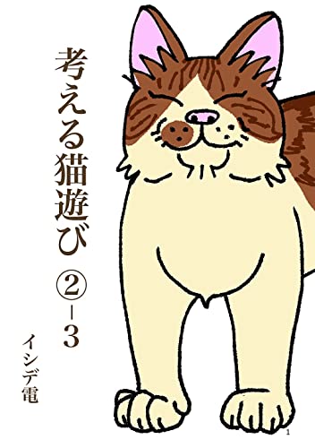 考える猫遊び ②-3 勝手に猫遊び