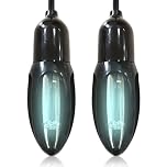 10W Black Ultraviolet Shoe Deodorizer That Eliminates Odor Causing Germs, UV Shoe Sanitizer,UV Foot Germicidal Electric Light,Shoe Sanitizer Boot, Glove Foldable Design for Hats Shoes