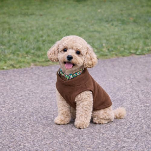 JACKO & CO Fleece-Weste mit Ring für die Leine – weich, leicht, atmungsaktiv für Welpen, kleine, mittelgroße Hunde, Kätzchen, Katzen, Chihuahua, warm für Herbst/Winter (Braun, Größe M, 2,7-4,5kg)