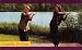 Produktbild Tele-Gym 22 - Integrales Qi Gong
