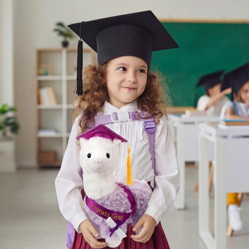 Chalyna 10 inch Graduation Llama Plush Stuffed Animal Class of 2026 Cute Congrats Grad Llama with Cap Diploma and Sash Soft End of Year Graduation Gift Party Decor for Kids Girls Boys(Purple) by Chalyna - Used condition - Image 4