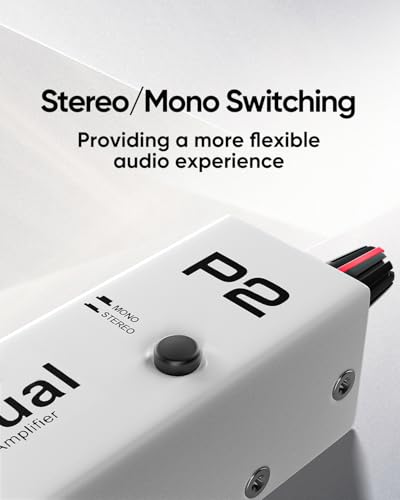P2 Personal Headphone Amp
