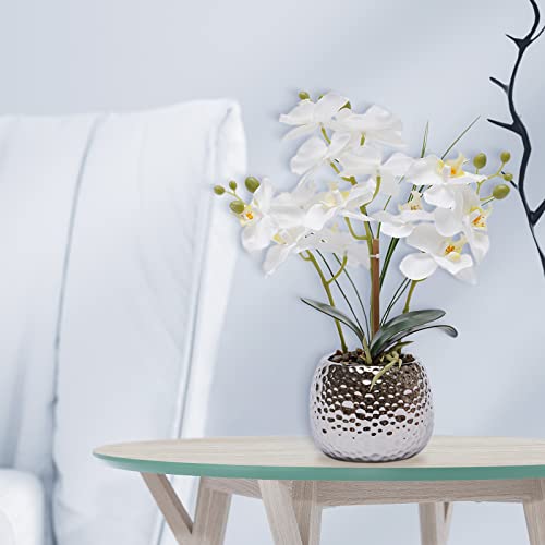 Fleurs de phalaenopsis pour table et salon de style moderne - 3