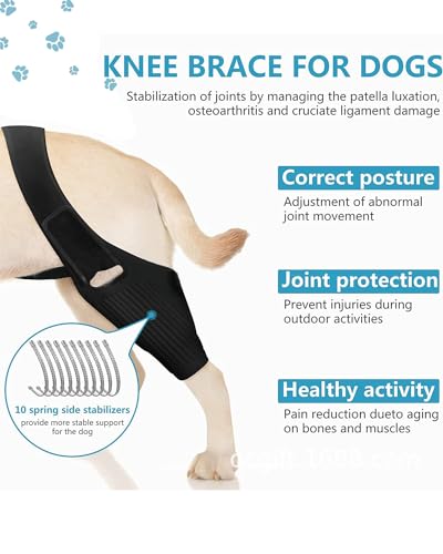 Image of Dog Knee Brace for Hind and Rear Leg, Support for Dog ACL CCL Cruciate Ligament Injury Joint Pain and Muscle Sore (Size: S)