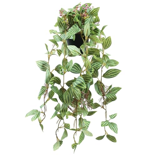 Vnezakl Artificial Hanging Ivy Plants Realistic 3D Watermelon Texture Fake Peperomia Leaves Faux Potting Vine Green Plants for Indoor Outdoor Home Garden Decor