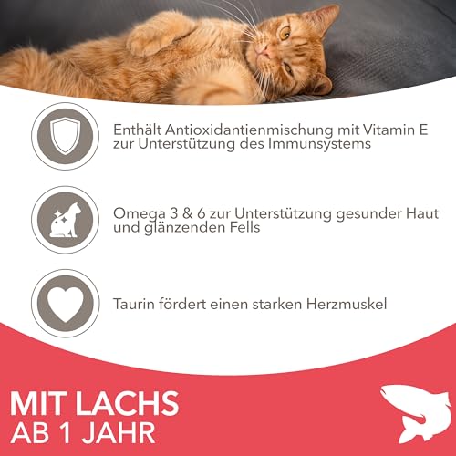 IAMS Katzenfutter trocken mit Lachs - Trockenfutter für Katzen im Alter von 1-6 Jahren, 3 kg