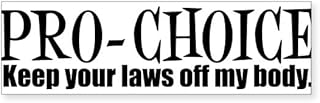 CafePress Pro Choice Laws 10"x3" Rectangle Bumper Sticker Car Decal (10 Pack)