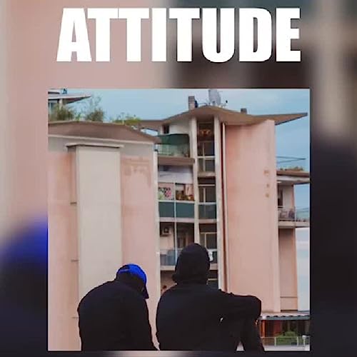 Attitude