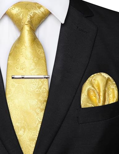 Image of JEMYGINS Mens Solid Color Paisley Necktie and Pocket Square with Tie Clip Sets