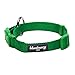 Blueberry Pet 6 Colors Better Basic Dog Collar, Light Emerald Green, Small, Neck 12"-16", Adjustable Collars for Dogs