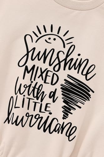 Toddler Girl's Boy's Cotton Crewneck Sweatshirt Long Sleeve Kids Casual Pullover Shirts3