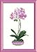 Produktbild Riolis Stickpackung - Orchidee