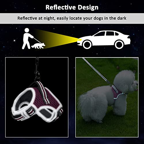 Dog Harness and Leash Set, No Pull Harness for Small Dogs and Cats, Air Mesh Harness with Easy Control Handle and… - Image 6