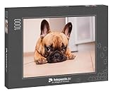fotopuzzle.de: Puzzle 1000 Teile „21. Oktober 2017; Moskau, Russische Föderation: Welpe der französischen Bulldogge, der vor der Kamera posiert und zusieht“