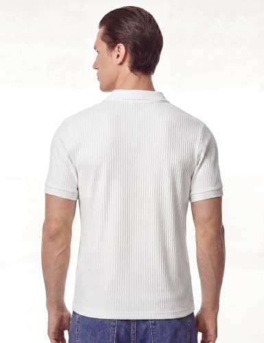 Image of DAMENSCH Men Striped Texture, Cotton-Rich Comfort, Easy Regular fit, Solid Colours Striped Polos