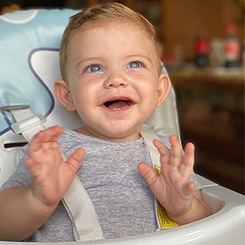 Cadeira Alta De Bebe Para Alimentação Refeição Até 23 Kg Nick Dino Galzerano