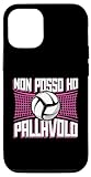 Pallavolo Divertente Co.